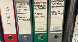 В Белгороде нашли забытые отчеты "кибердружинников" о поиске "нежелательного" контента в Интернете (3 фото)