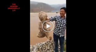 В Китае снова найдено жуткое существо
