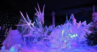 15 шедевров ледяной скульптуры (14 фото)
