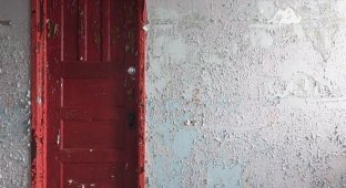 Дверь за стеной или история одного ремонта (1 фото)