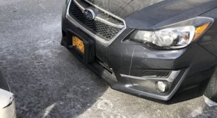 Автомобильная защита на случай контактной парковки (4 фото)