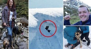 Герой-альпинист рискнул жизнью, чтобы спасти двух собак (13 фото)