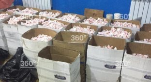 Полиция накрыла подпольное производство конфет Raffaello в Ростовской области (4 фото)