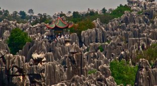 Удивительный каменный лес Шилинь в Китае (9 фото)