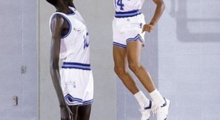 Мануте Бол - самый высокий игрок в НБА (21 фото)