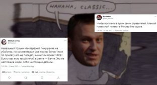 "Кое-кто сильно испугался", или новое обстоятельство в деле Навального (19 фото)