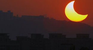 Кольцеобразное солнечное затмение (21 фото)