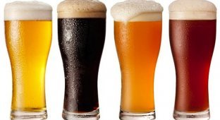 8 видов любимого иностранного пива (9 фото)