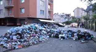 Во Львове жители построили на дороге баррикаду из мусора