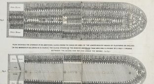Этот плакат со схемаой корабля «Брукс» помог уничтожить работорговлю в Британской империи (5 фото)