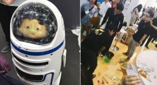 В Китае детский робот травмировал человека (2 фото)