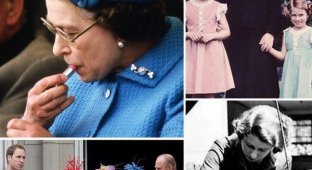 Интересные факты из биографии королевы Елизаветы II (10 фото)