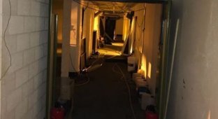 В Великобритании обнаружили плантацию марихуаны в ядерном бункере (3 фото)