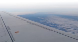 Пассажиры испортили самолет “Победы” в отместку за платный багаж (2 фото)