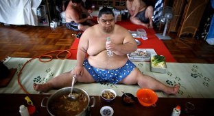 Секреты из закрытого мира бойцов сумо (15 фото)