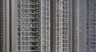 Улей в котором живут Китайцы (66 фото)