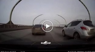 Брачные игры двух быстрых водителей в Петербурге