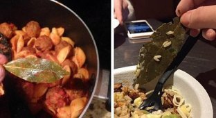 Пользователи Twitter жалуются на ресторан, обнаружив лист неизвестного происхождения (8 фото)