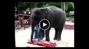 Массаж с помощью слона