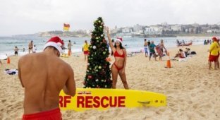 Рождество на пляже Сиднея (18 фото)