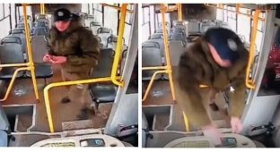 Притаившийся на "галерке" пассажир обокрал водителя маршрутки (5 фото + 1 видео)