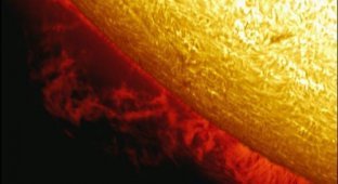Солнце крупным планом (12 фотографий)