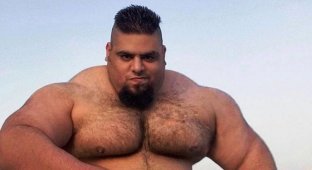 Саджад Гариби — иранский Халк, весящий более 150 кг (14 фото)