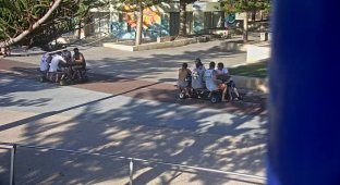 В Австралии ищут парней, катавшихся на моторизованных столах для пикника (3 фото)