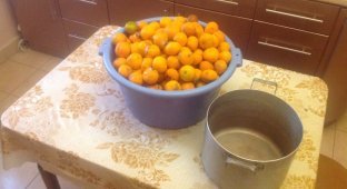 Варим самогон из мандарин (12 фото)