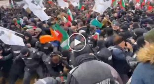 В Болгарии прошли жесткие протесты против введения ковид-сертификатов