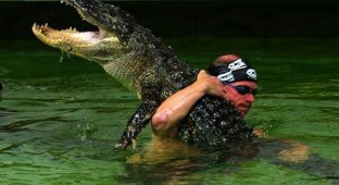 Опасные игры с крокодилами (15 фото)