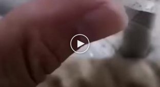 Парень снял видео, на котором жёстко троллит комара