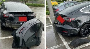Владельцы Tesla Model 3 жалуются, что задний бампер электромобиля отваливается после езды по лужам (4 фото + 1 видео)