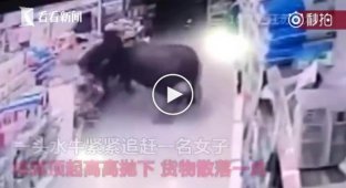 В Китае обезумевший буйвол разгромил супермаркет и ранил шестерых посетителей
