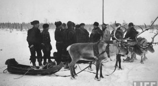 Советско-финская война 1939 - 1940 годов (27 фотографий)
