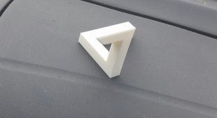 3D принтер позволил сделать невозможное (4 фото)
