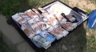 Бизнесмен забыл на улице чемодан с 15 миллионами рублей