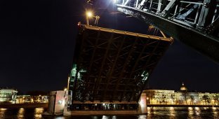 Как устроен Дворцовый мост в Санкт-Петербурге (63 фото)