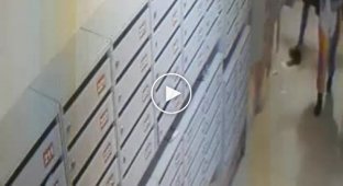 Малолетние вандалы крушат почтовые ящики в подъезде