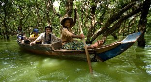 Затопленные леса в Камбодже (26 фото)