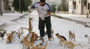 Добрый человек из Алеппо (7 фото)