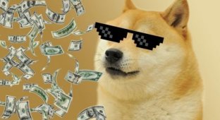 Знаменитый интернет-мем с изображением собаки сиба-ину продан за $4 млн (3 фото)