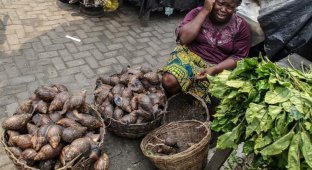 Африканские продуктовые рынки (36 фото)