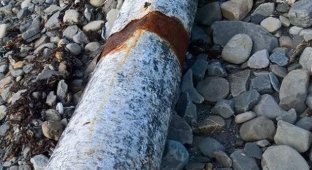 В Ирландии нашли выброшенную на берег трубу с кокаином на 5 млн евро (4 фото)