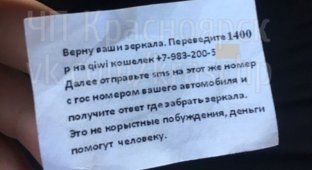 В Красноярке крадут зеркала машин, но «не из корыстных побуждений» (2 фото)