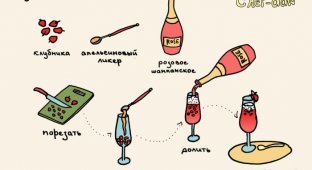 Рецепты коктейлей в картинках (25 картинок)