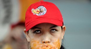 Миниатюрная азиатка по кличке Черная Вдова пожирает груды еды (10 фото)