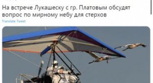 Шутки и мемы про выступление Александра Лукашенко, и экстренную посадку самолета Ryanair в Минске (20 фото)