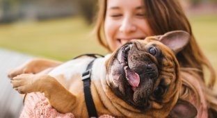 10 доказательств о пользе собак от ученных