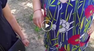 Пожилая дама и молодая девушка пристали к парню за то, что он снимал видео в их дворе